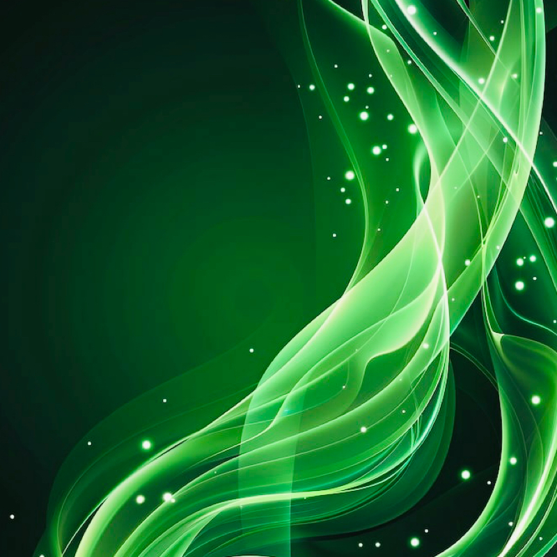 HSP（Highly Sensitive Person）とは