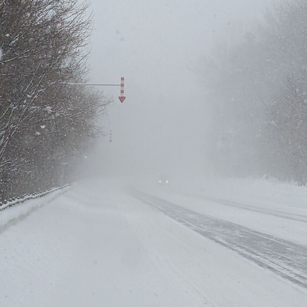 徒然なるままに、ひとり