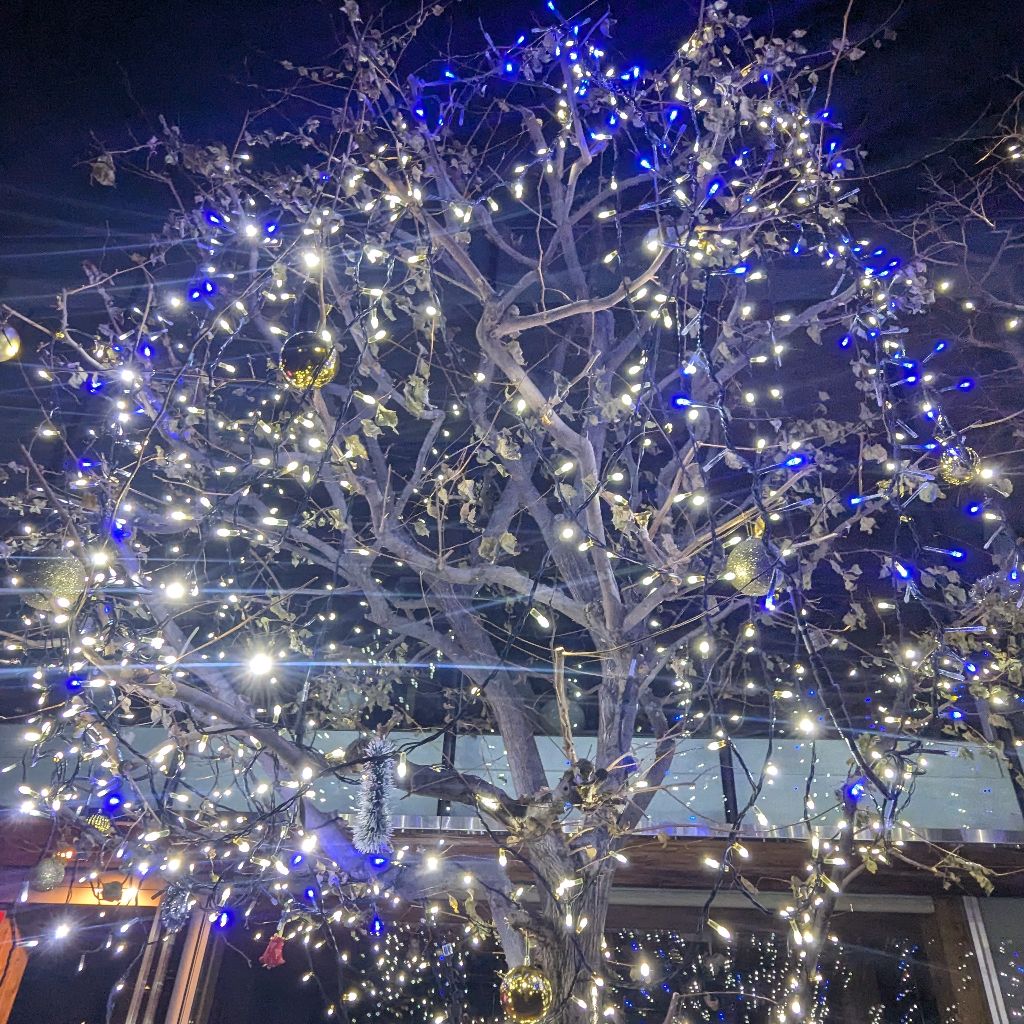 飲酒しながらトお話/自分の小ささ/寒い/ろうそく