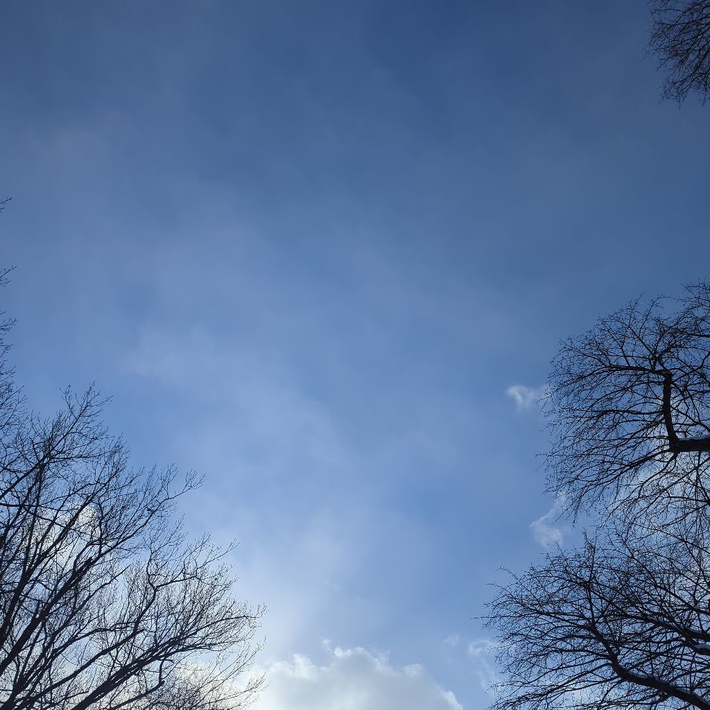 #5 歩きながら最近しんどいことを話す