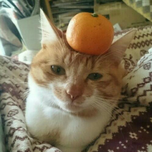 せっかく録ったから上げるけど聞かなくていいですよ！！笑