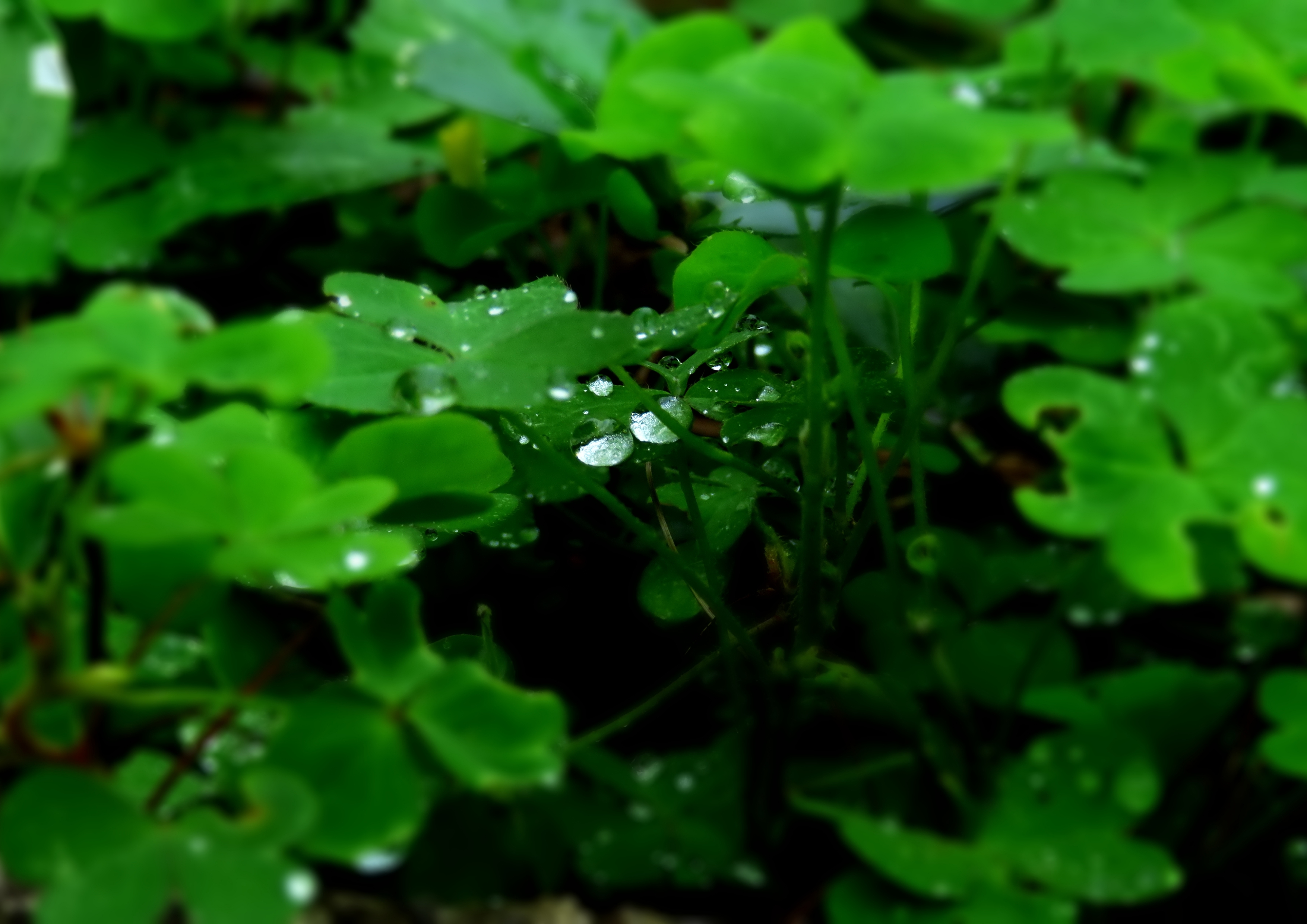 はじめました。