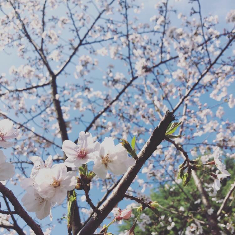 第０回 開始錄廣播囉！