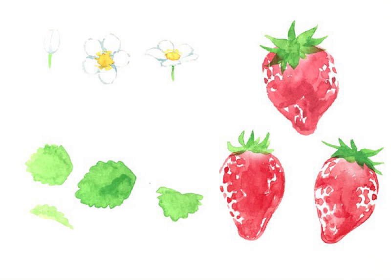 ゆめじょ妄想ガタリ