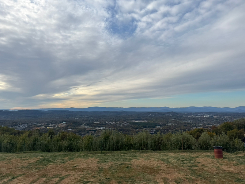 #102 ハッピーハロウィン🎃と週末の予定の話