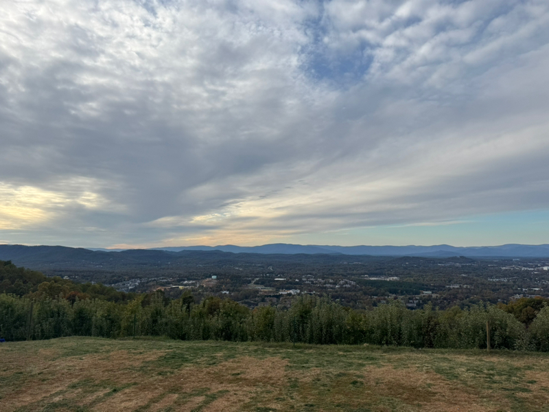 #104 MBTI診断やったことある？の話