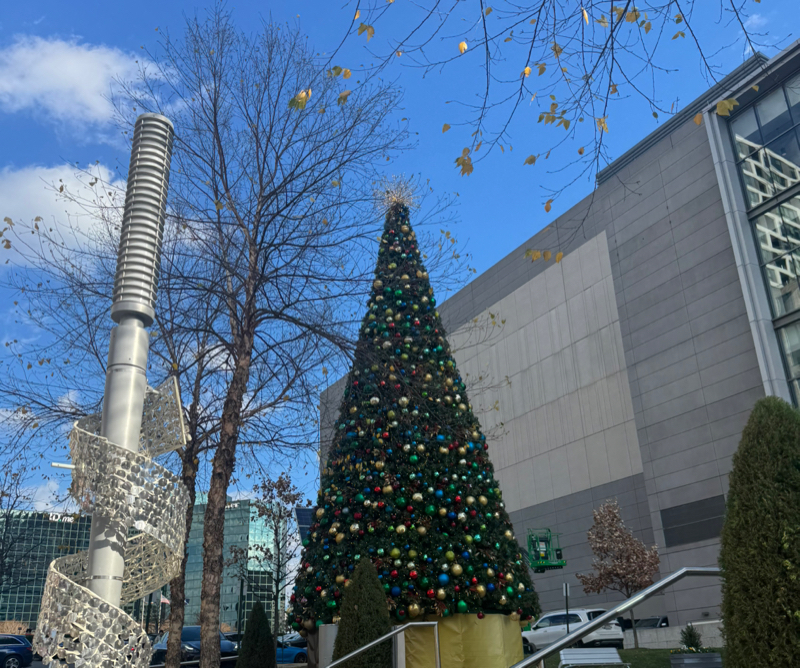 #105 アメリカでの引っ越しうまくいかない話