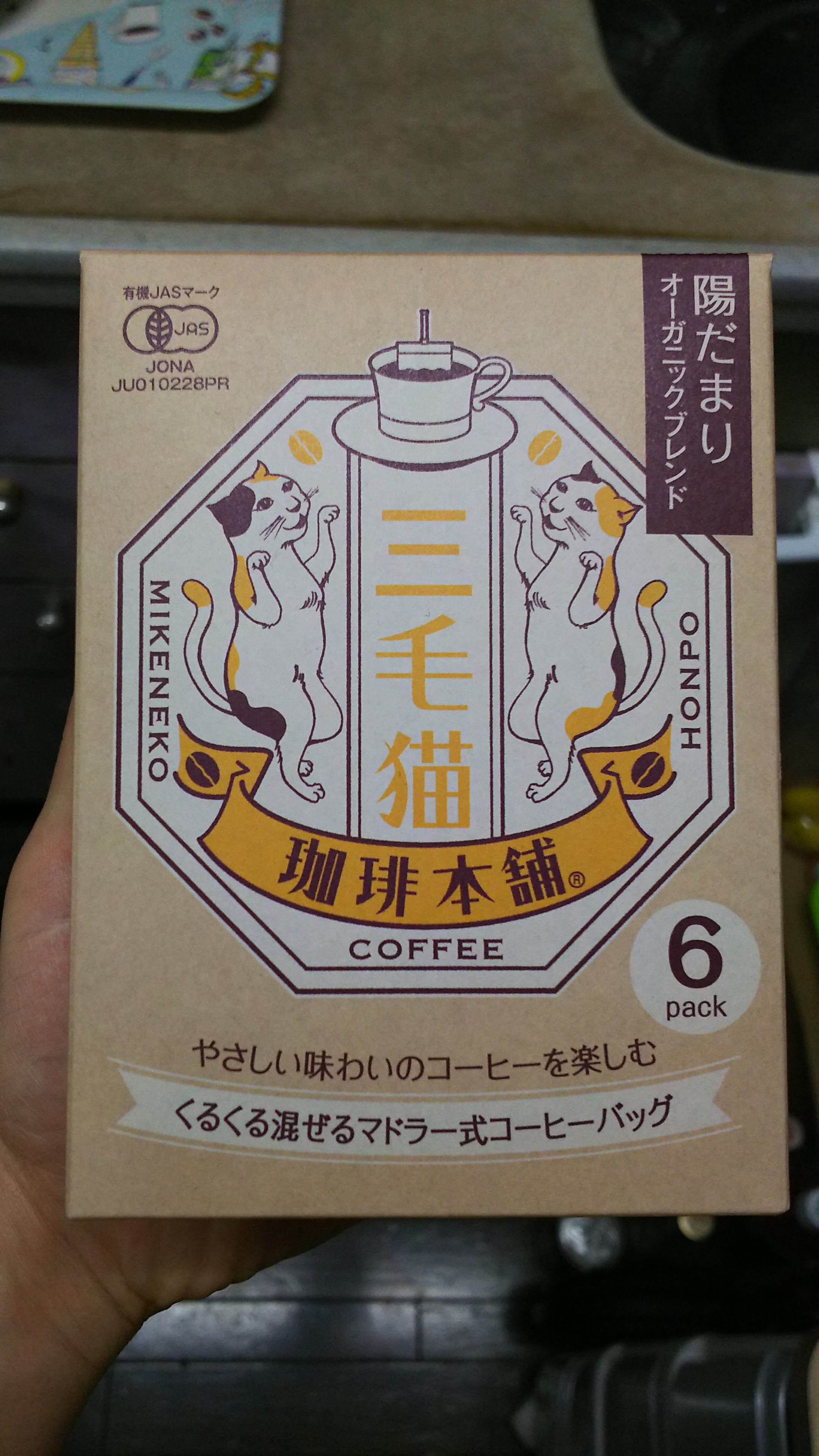 猫の事務所～導入