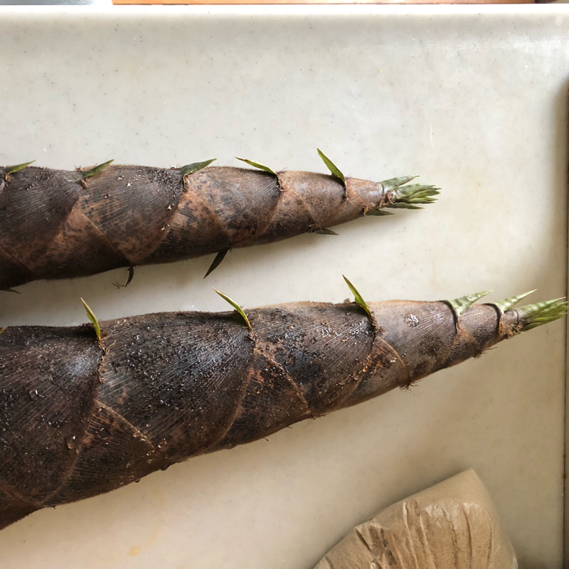 たけのこゆでる