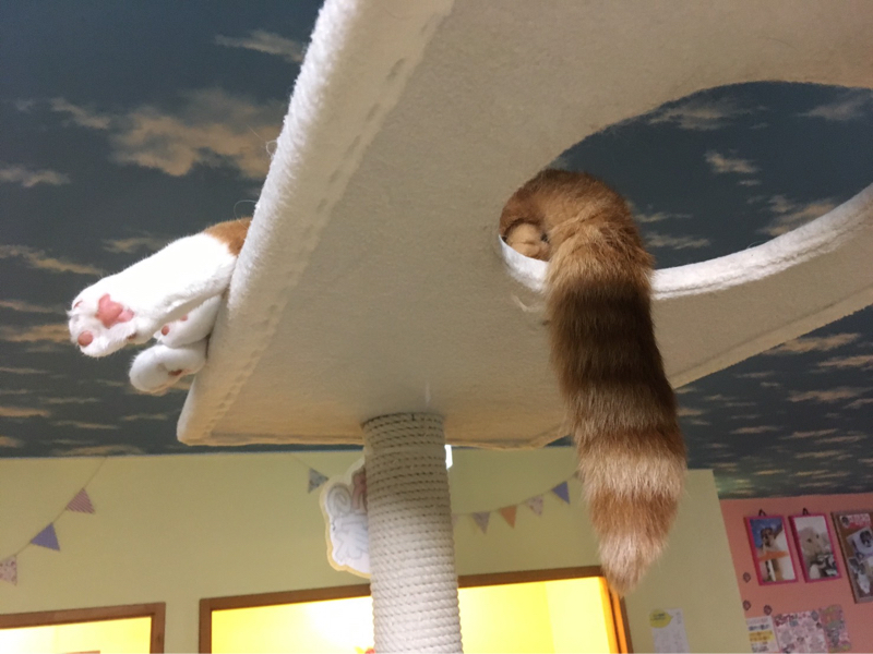 あんすてmomの話とtkskくんの話