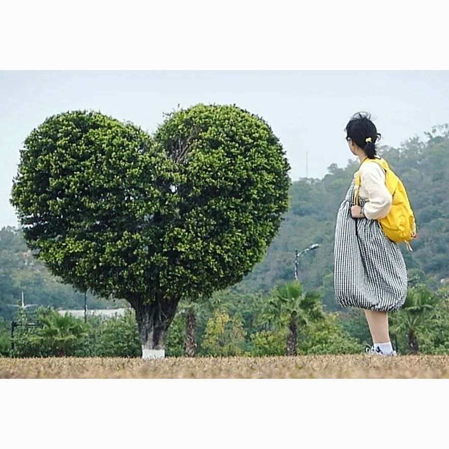 幸せな旅行~\(≧▽≦)/~新年快乐🎉✨