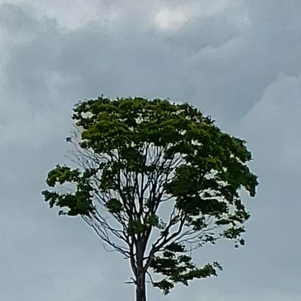 【軽く近況】お久しぶりです