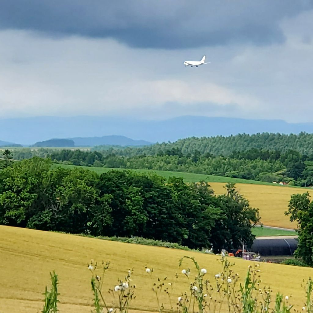 お題「お祭りで必ずたべるもの」に答えました