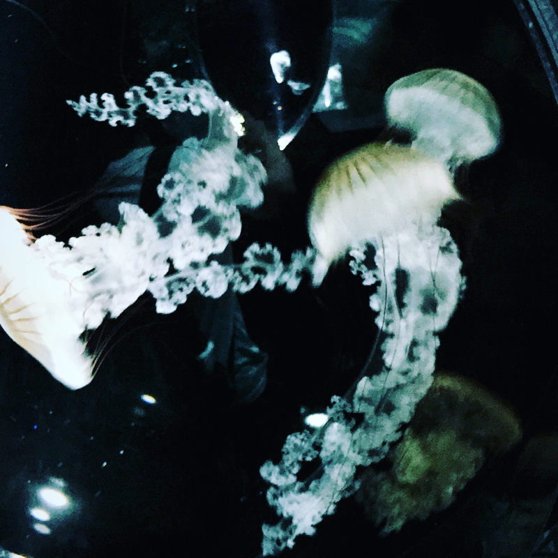 同人垢のTLから思うこと