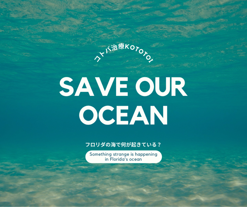 フロリダの海で起こる異変、SOSを知る🌏🆘