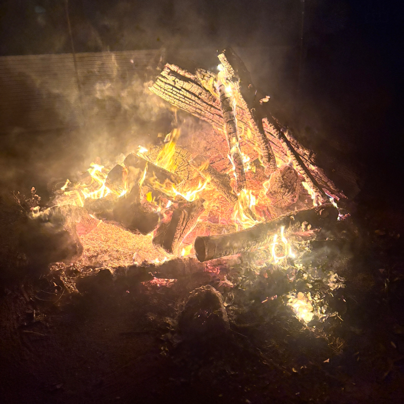 #159 チャレンジした話