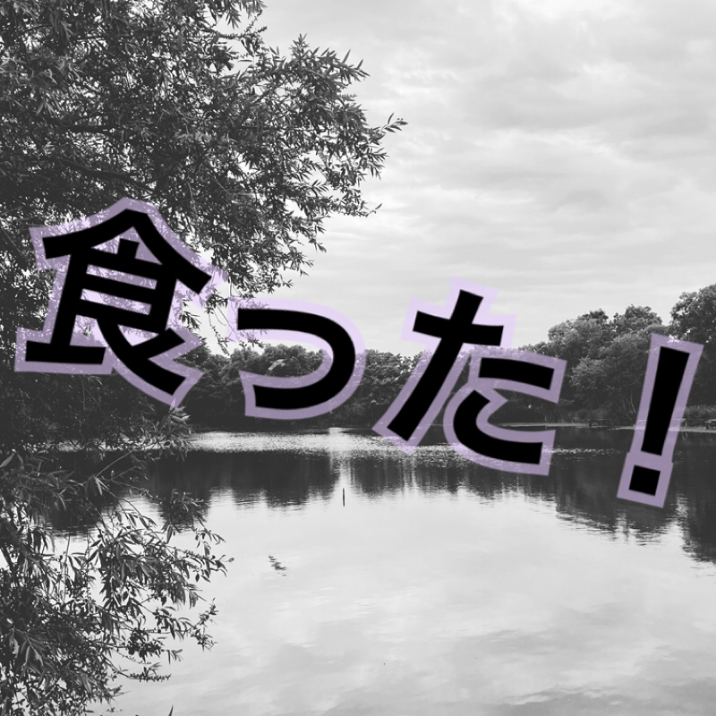 食った!その5👻🐌
