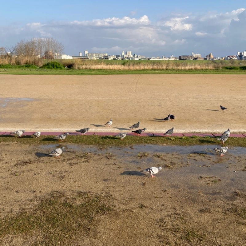 収録との出会い✨️