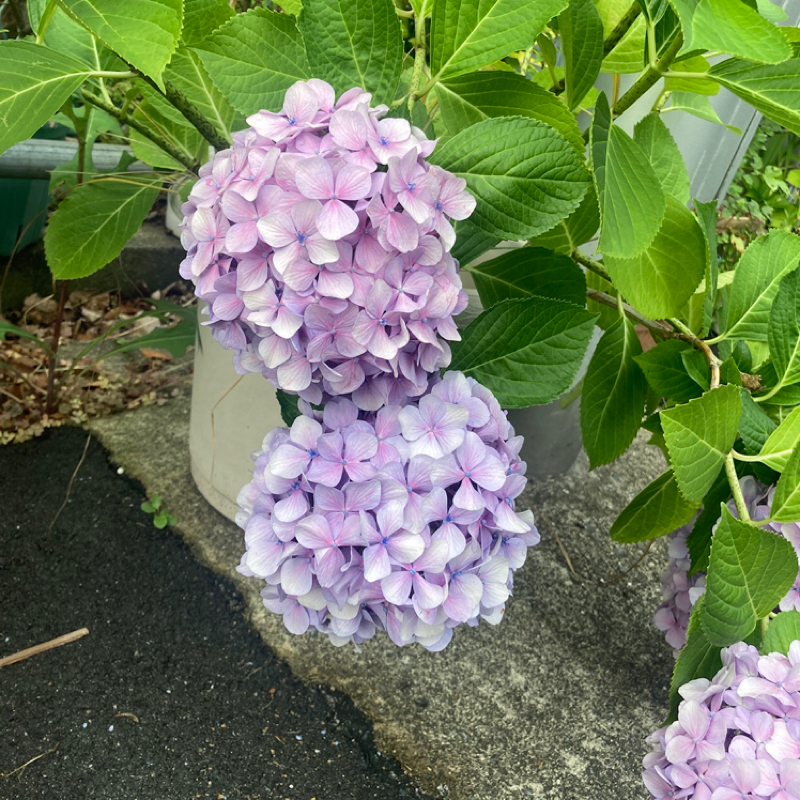 実技試験終わりました🙌  