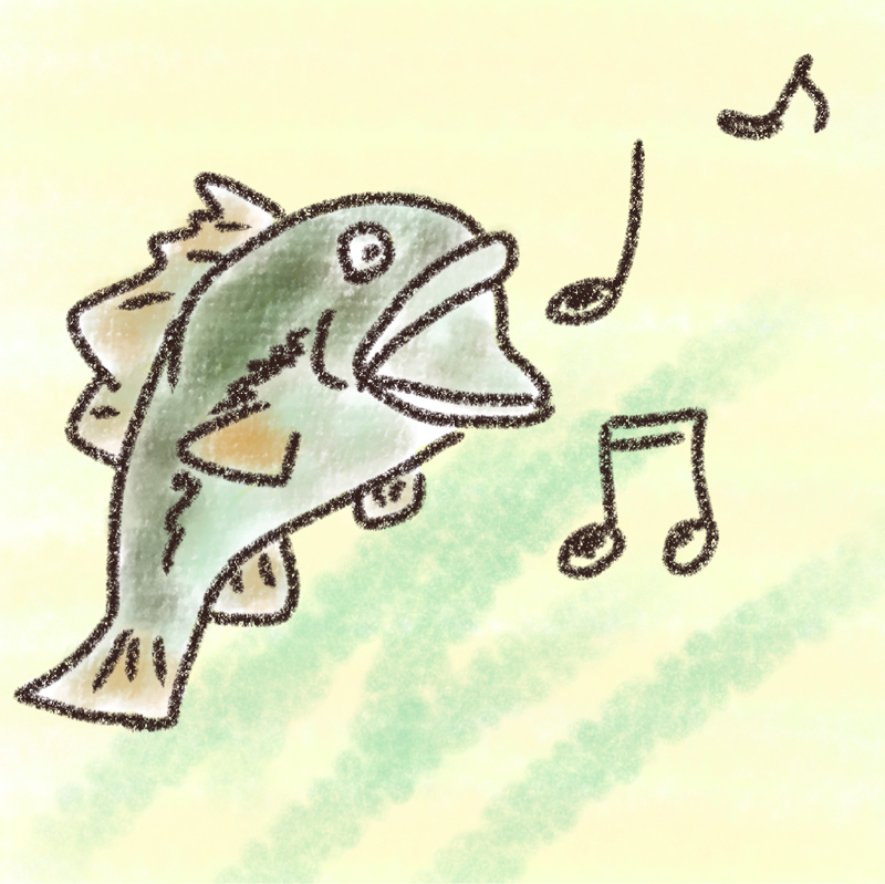 声