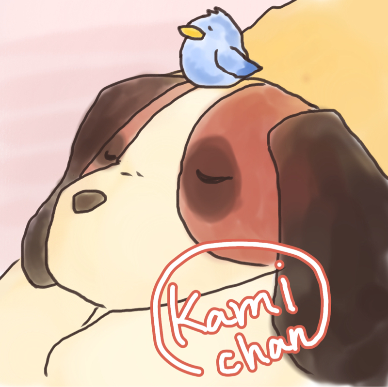 ありがとう かみちゃん！その３