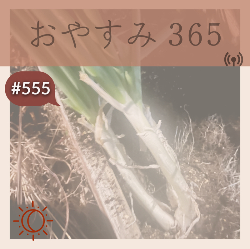 #555 学びを継続した結果