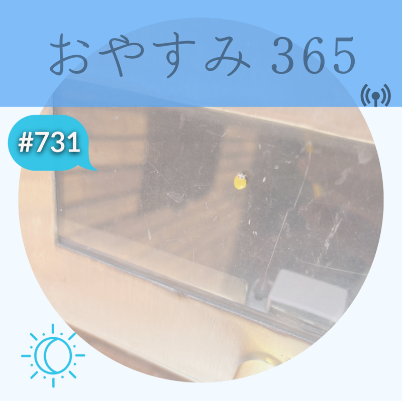 #731 嬉しい、ありがたい、そんな1日でした