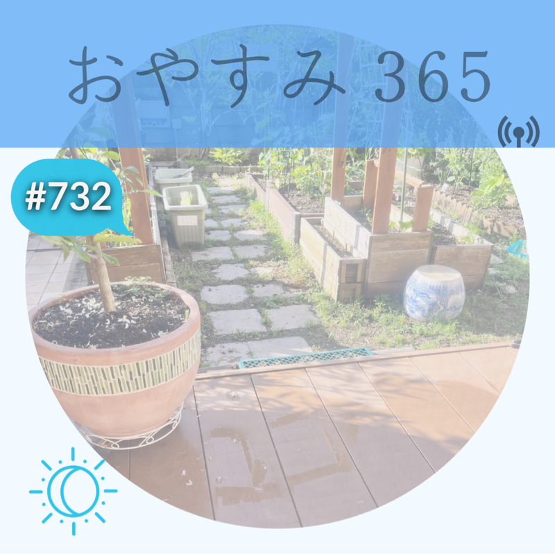 #732 たかが30分、されど30分