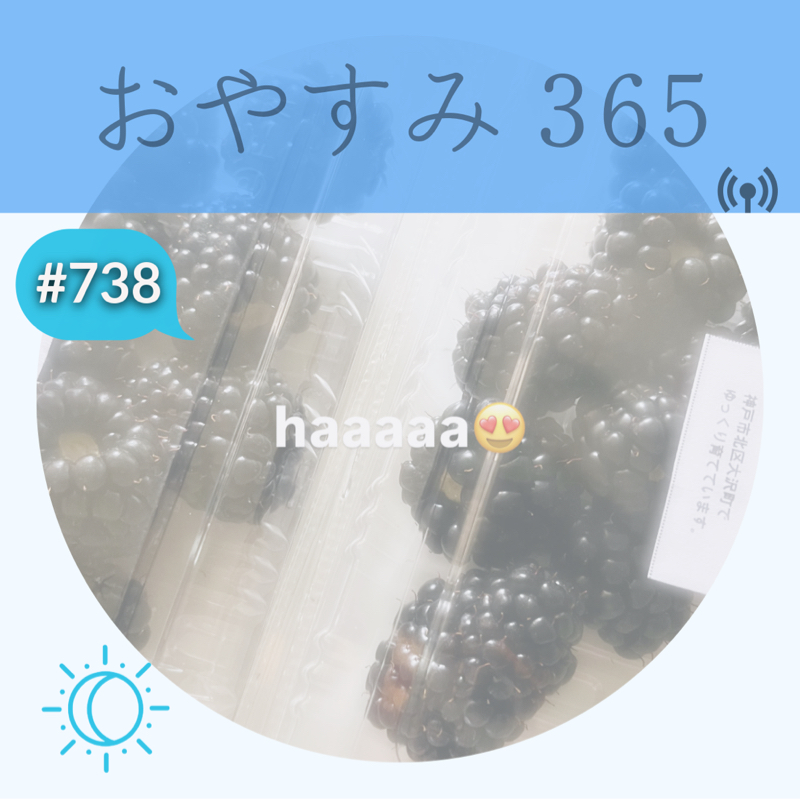 #738 人ともAIとも、とにかく言語化