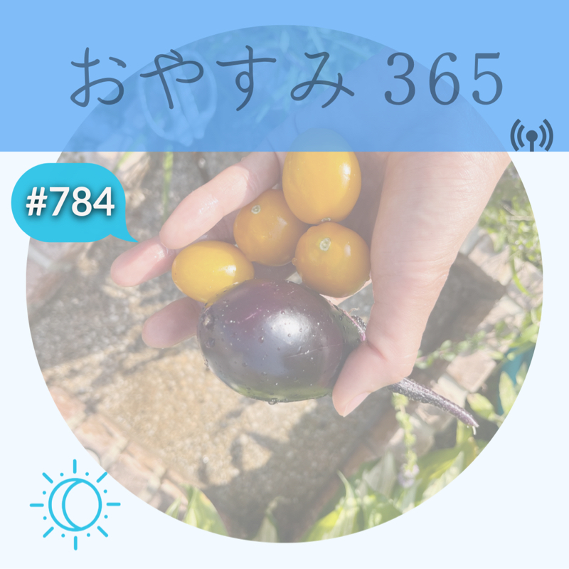 #784 綺麗な言葉より、リアルな言葉で