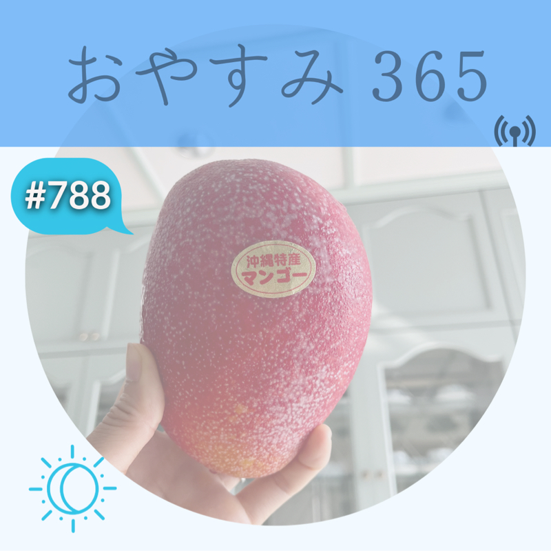 #788 行動に移すまでのパターンの見直し