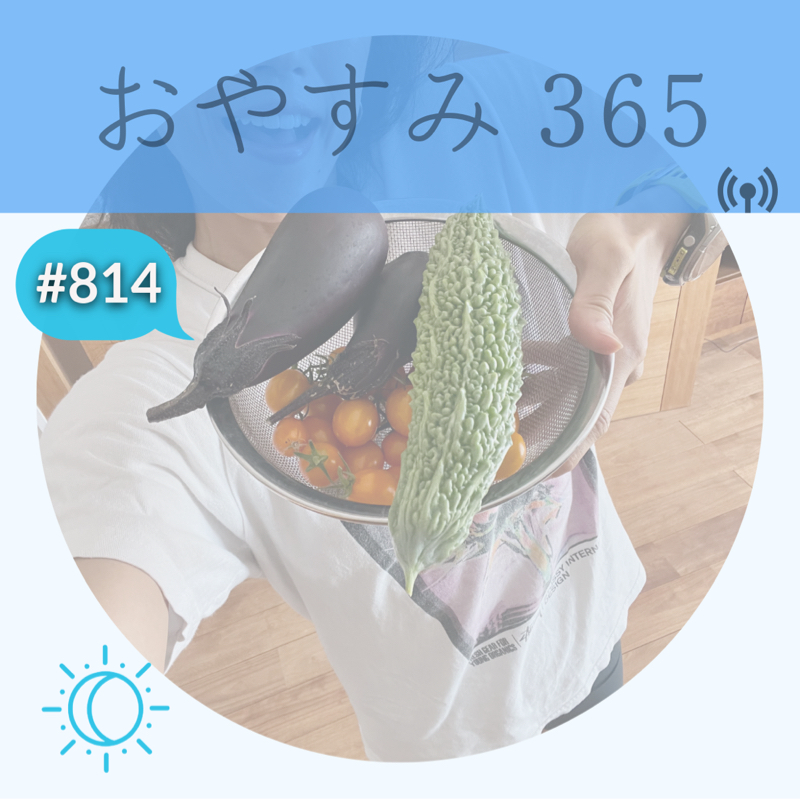 #814 イライラポイント発見の巻
