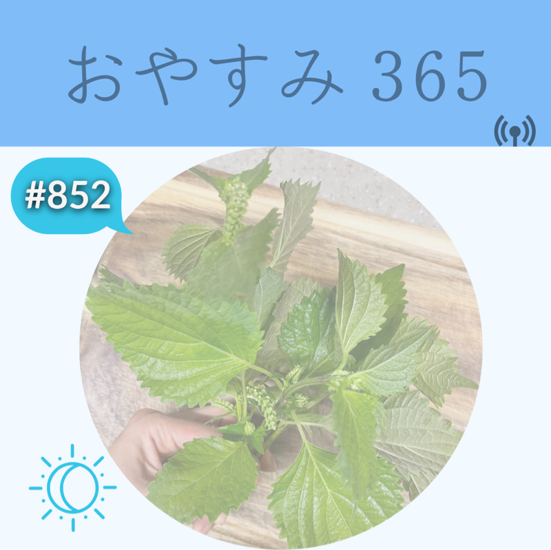 #852 今更やってみるからこそ、良い結果に繋がるかも？