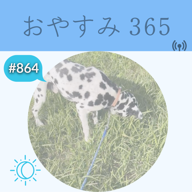 #864 ハロー！僕の名前はクッキーだよ