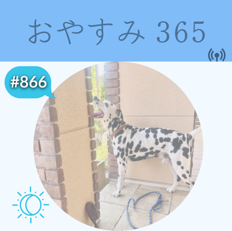 #866 クッキーのサポート