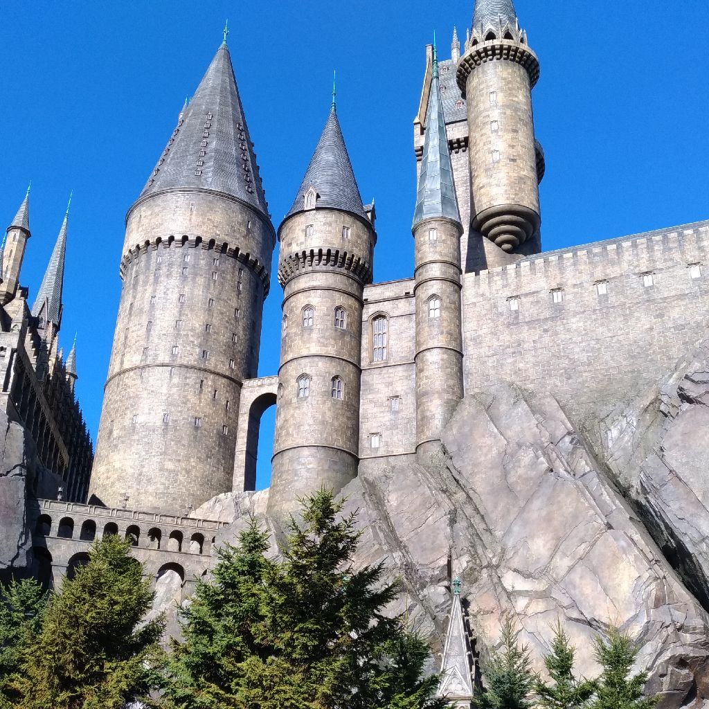 【♯73】桜、ひらり／サザンオールスターズさん