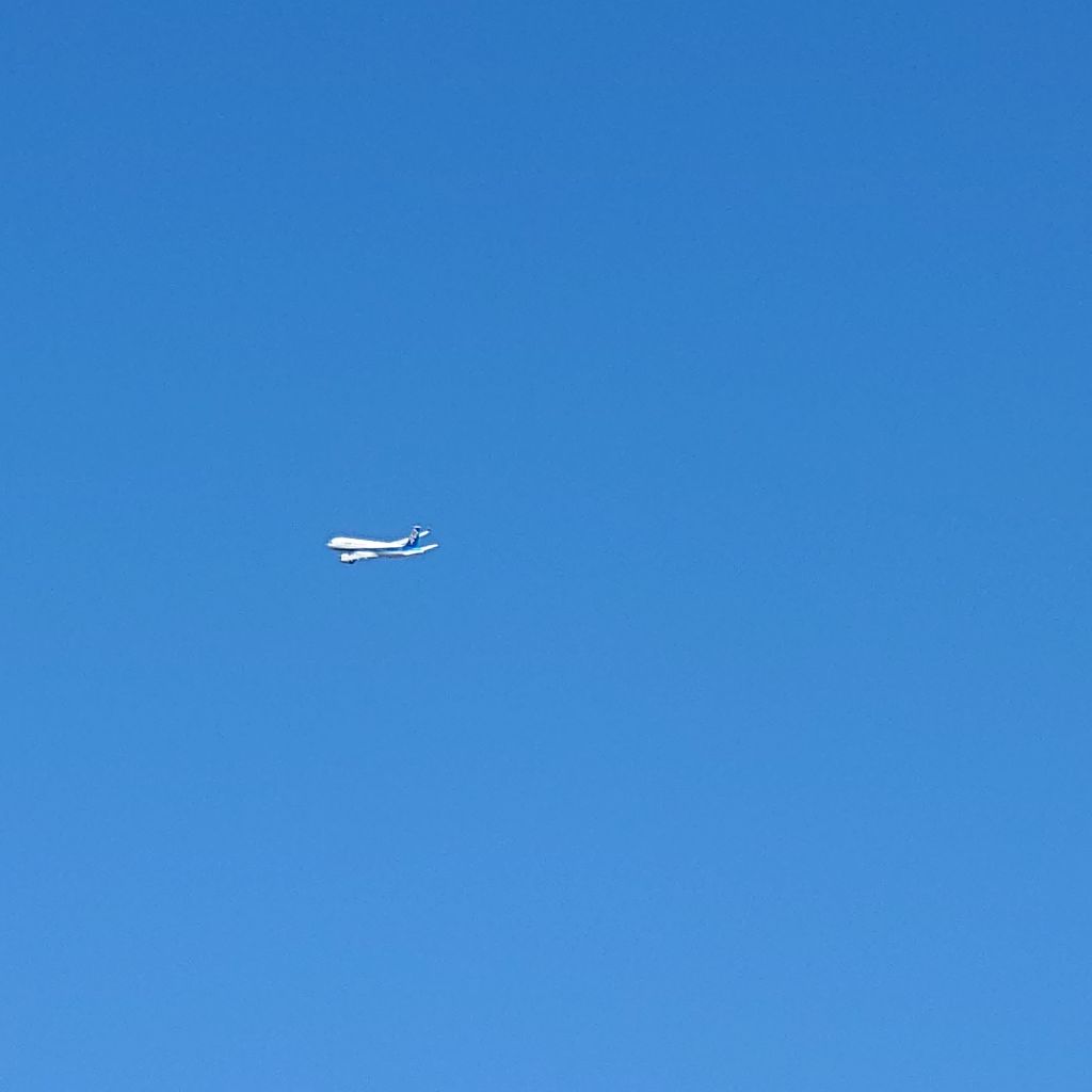 【♯81】夏をあきらめて／サザンオールスターズさん