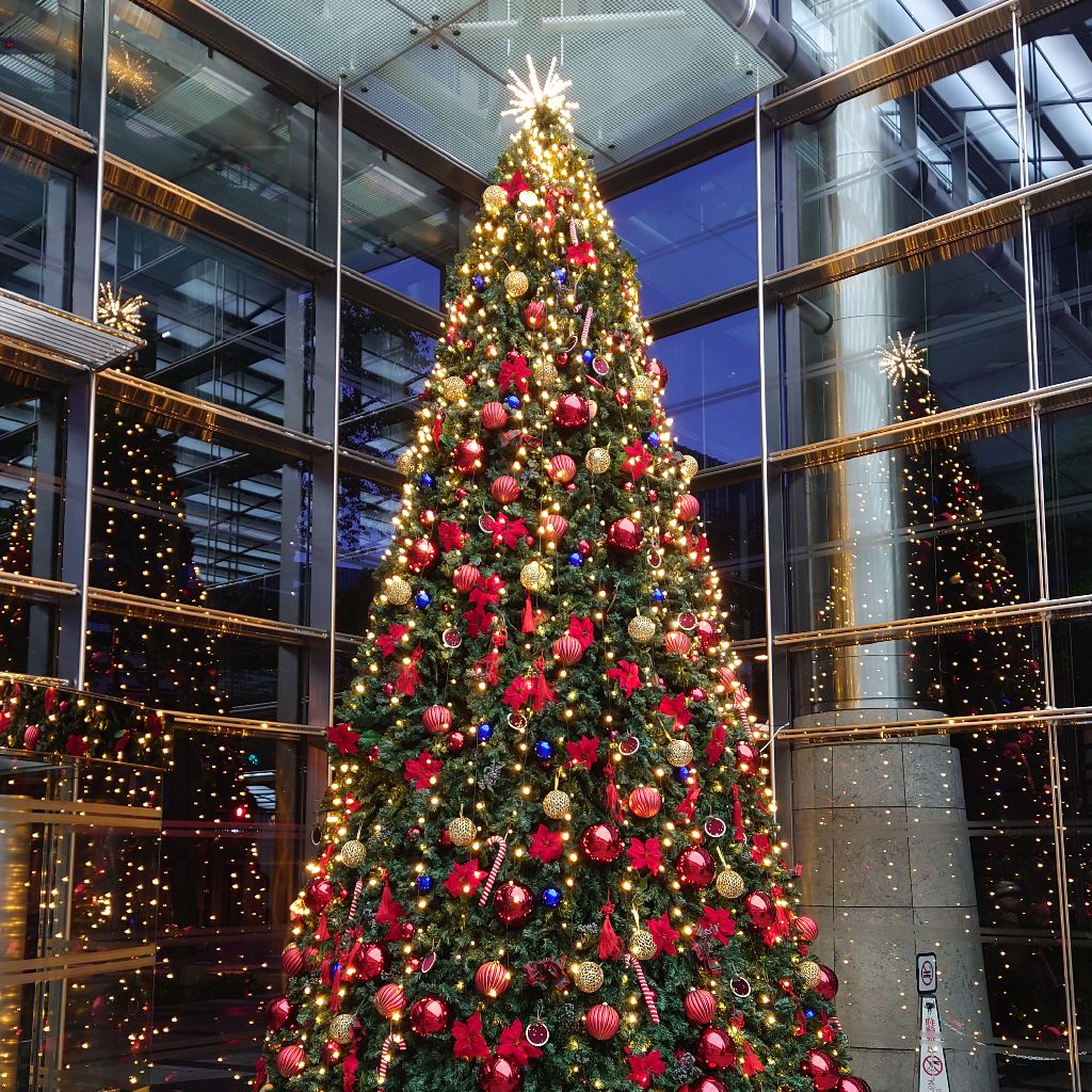 【♯82】MERRY X'MAS IN SUMMER／KUWATA BANDさん