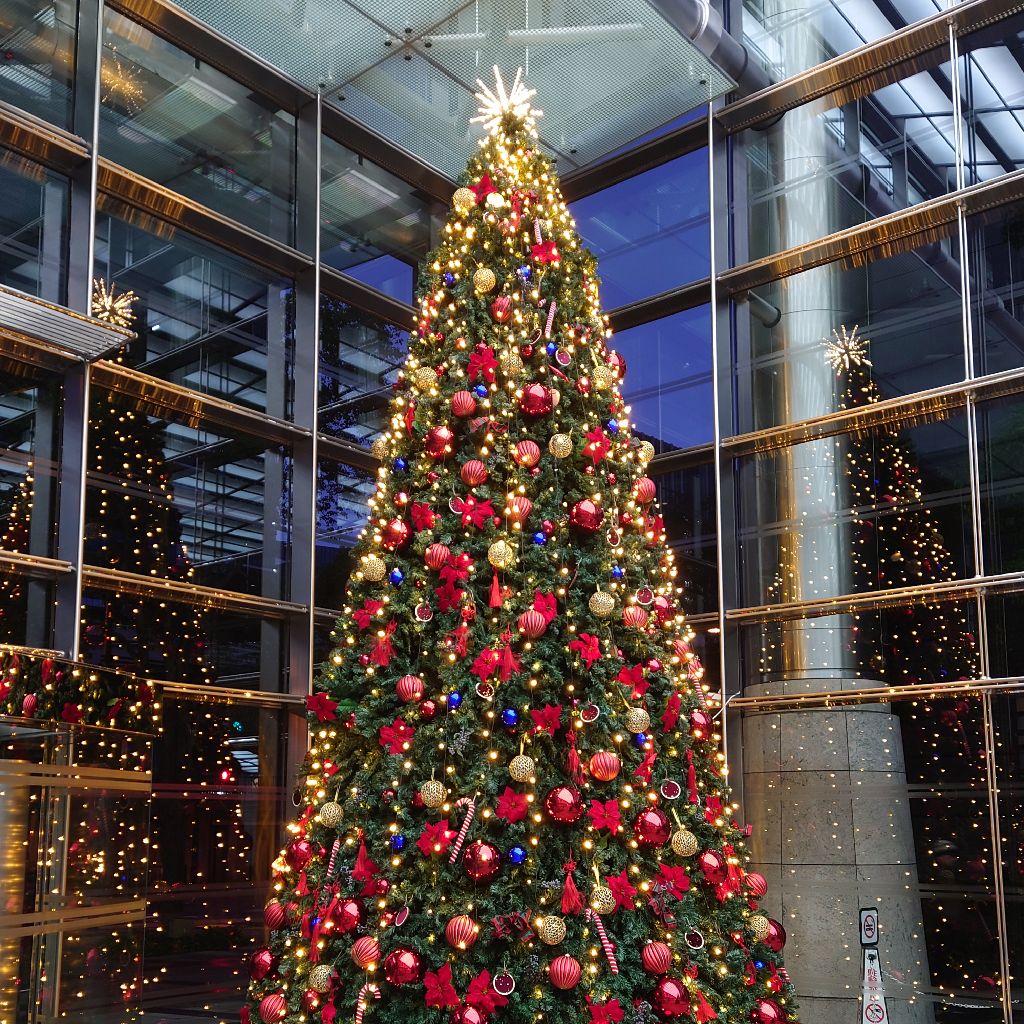 【§05】クリスマスソング／back numberさん