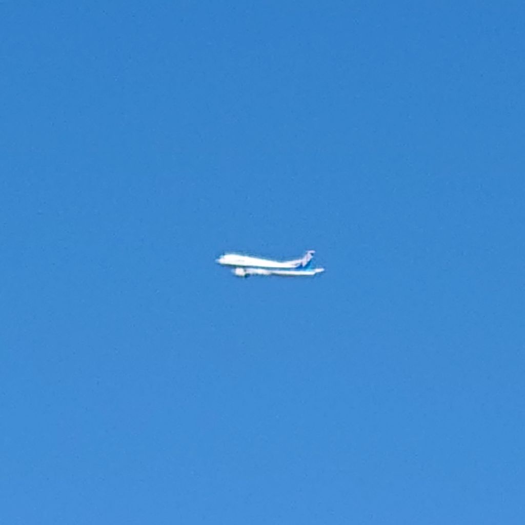 【♯101】Bye Bye My Love（U are the one）／サザンオールスターズさん