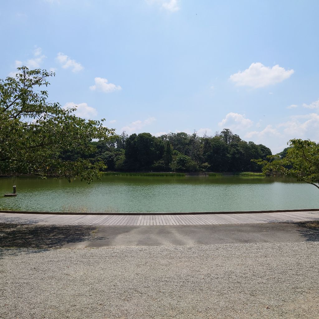 【♯99】Oh!クラウディア／サザンオールスターズさん