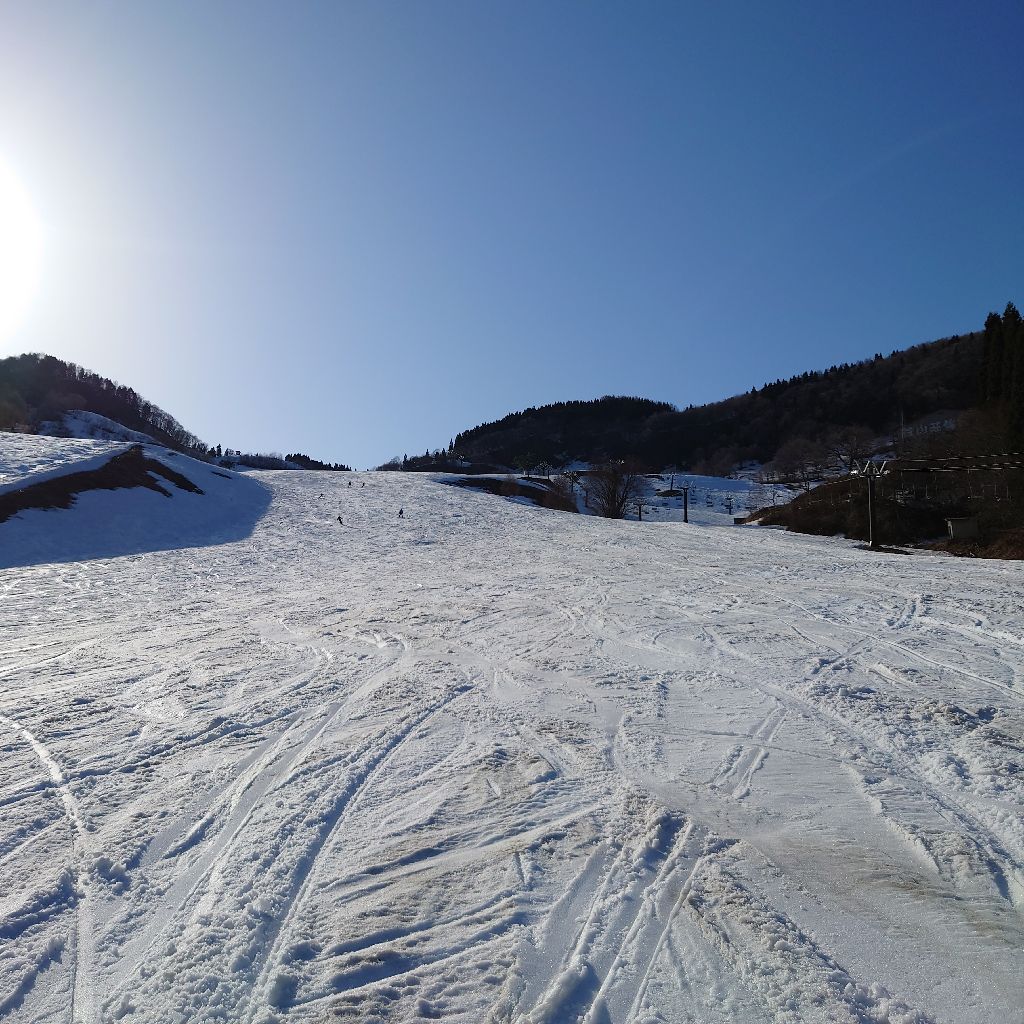 【♯100】雪の華／中島美嘉さん