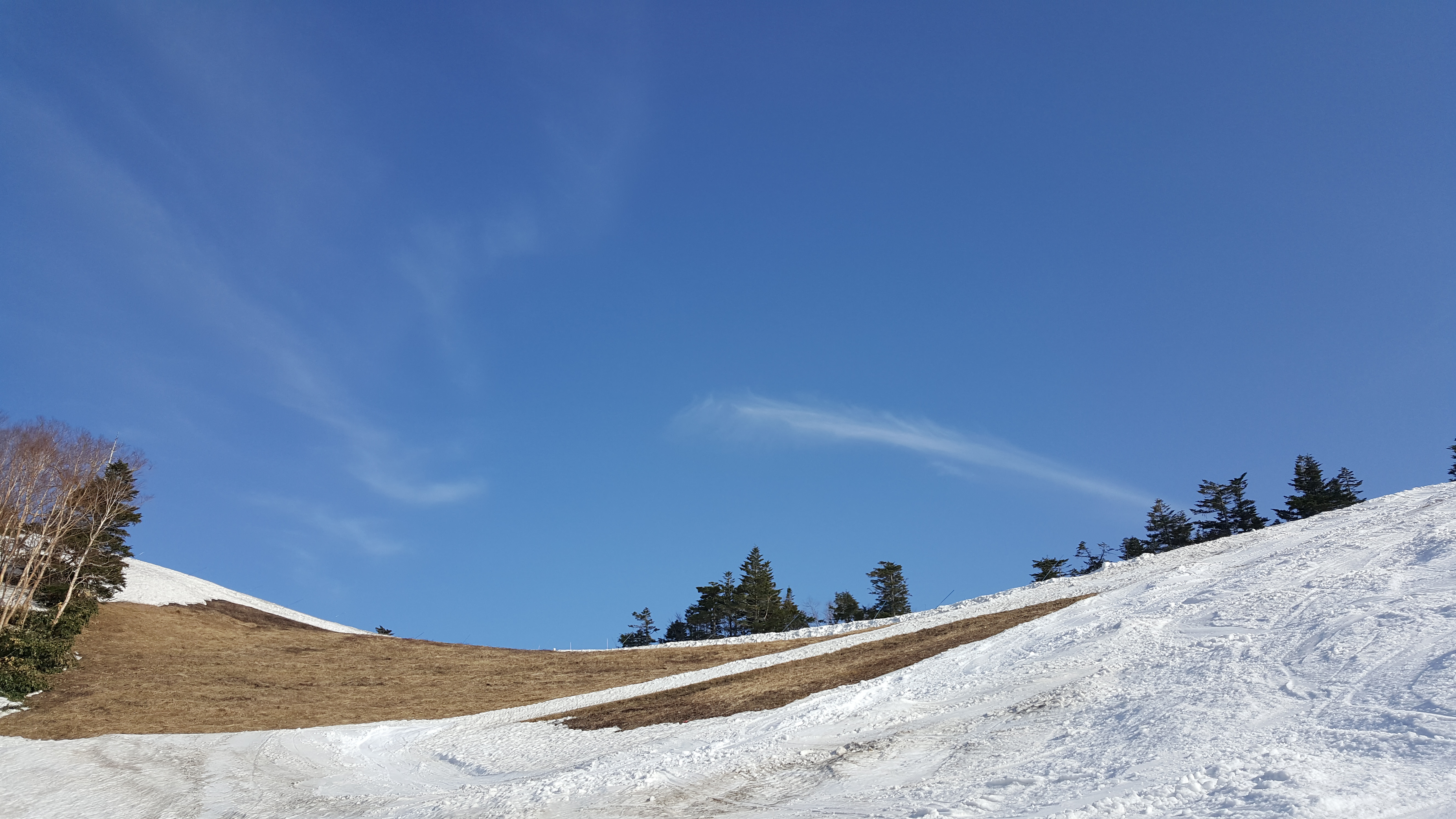 きょうも一日お疲れサマンサ！