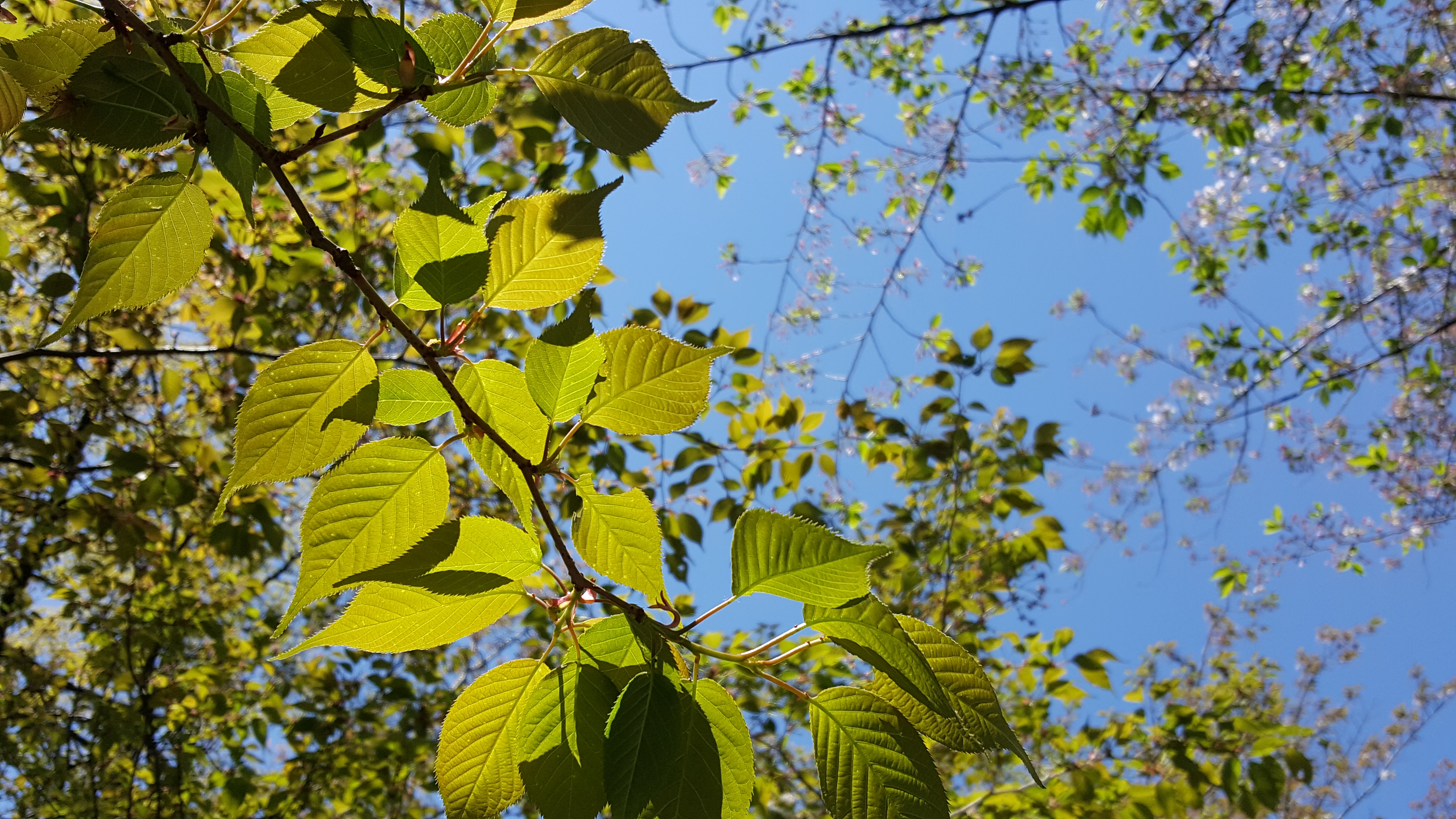 #003　インタビューの基本