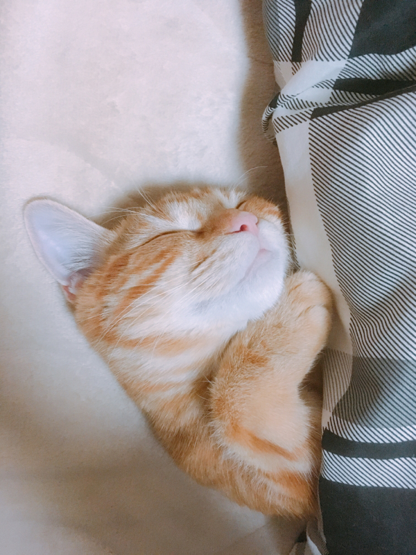 ゆるゆる寝起きラジオ#7