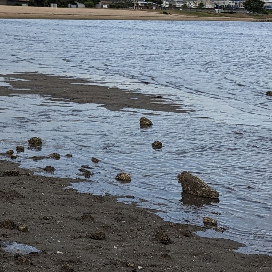 「浜辺にて」 第十九回