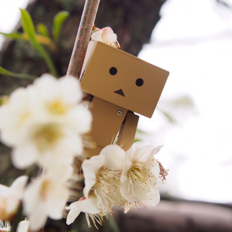 トークテーマを決定してみた