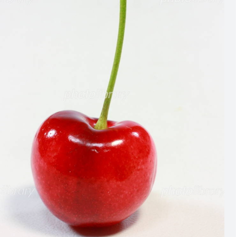 チェリー🍒