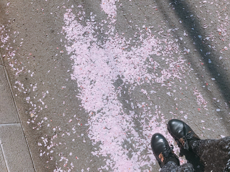 ばんびの自己紹介だよっ！🦌