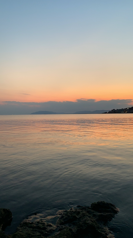 みすたーすぱぱ